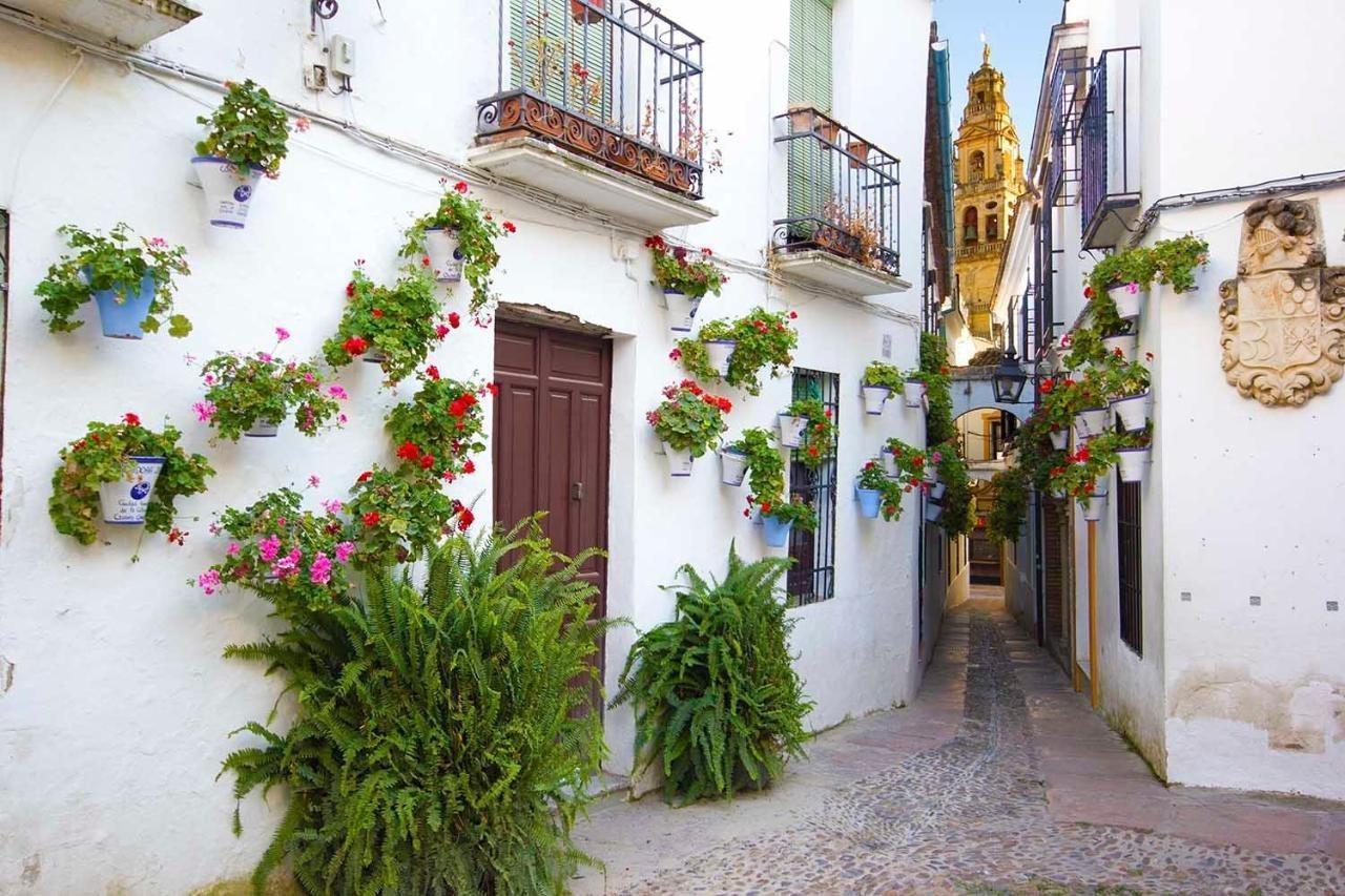 Tandem Torre De La Calahorra Apartment Cordoba Luaran gambar